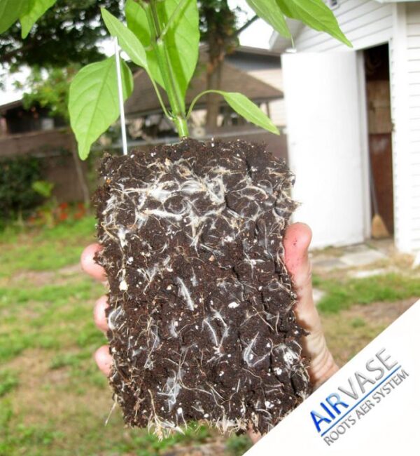 Airontek AIRVASE Vaso / Contenitore Antispiralizzazione - immagine 8