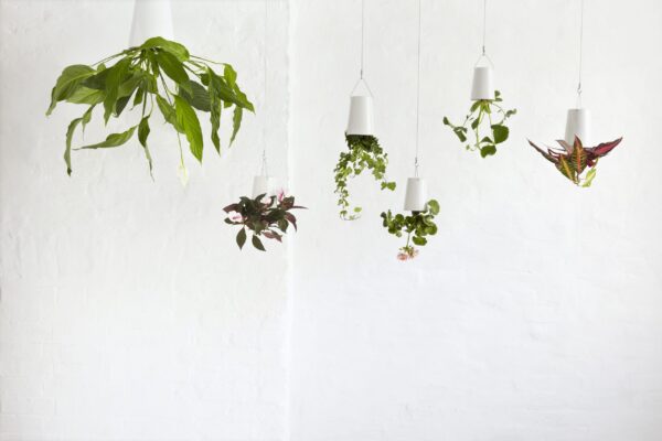 Bosske Sky Planter Ceramic - Mini White - immagine 7