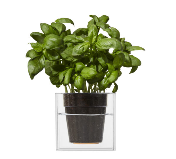 Bosske Cube Large