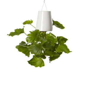 Bosske Sky Planter Ceramic - Medium White