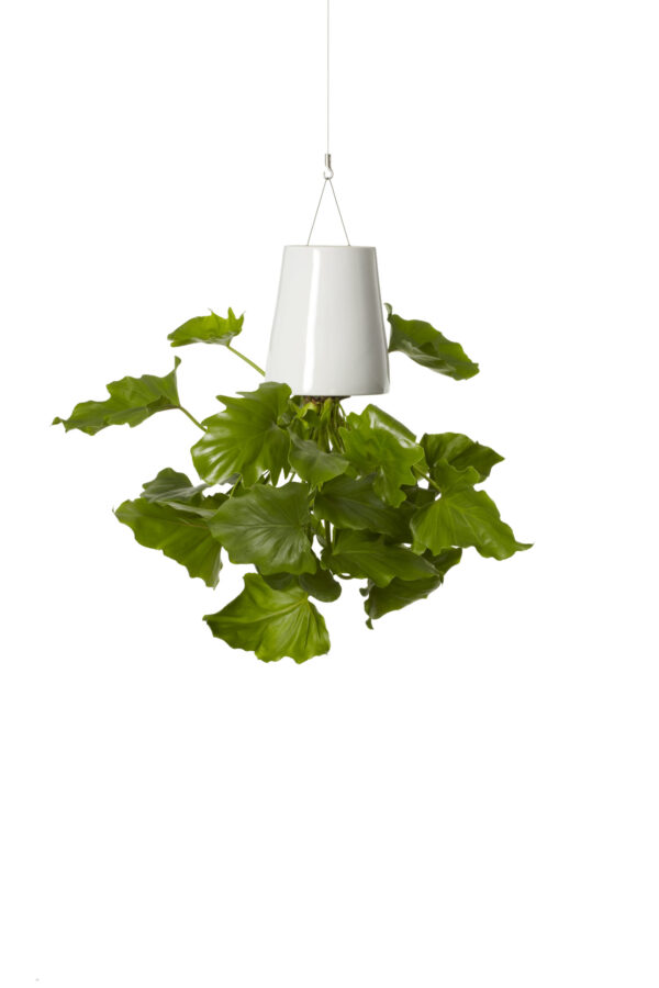 Bosske Sky Planter Ceramic - Medium White