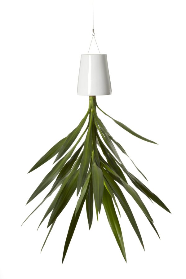 Bosske Sky Planter Ceramic - Medium White - immagine 3