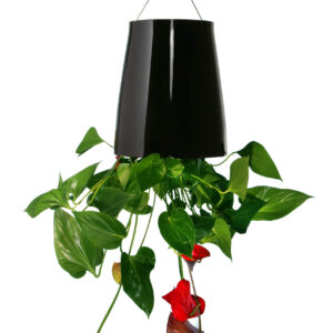 Bosske Sky Planter Ceramic - Medium Black