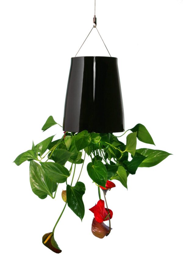 Bosske Sky Planter Ceramic - Medium Black