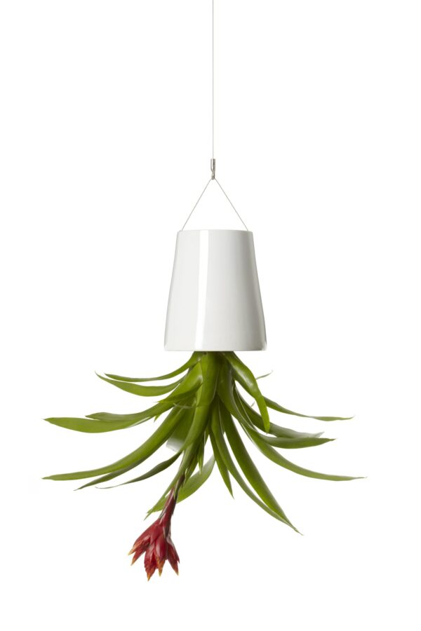 Bosske Sky Planter Ceramic - Medium White - immagine 5