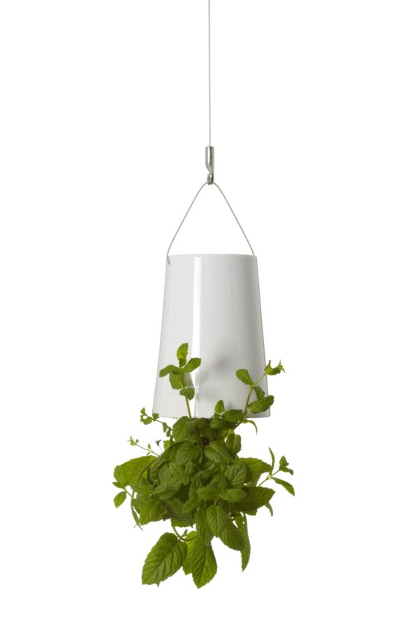 Bosske Sky Planter Ceramic - Mini White - immagine 4