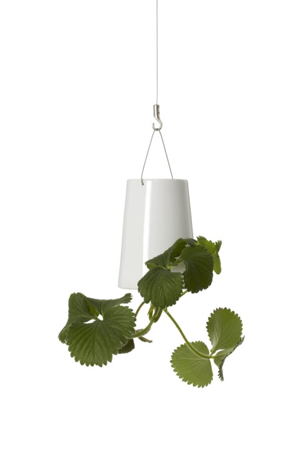 Bosske Sky Planter Ceramic - Mini White - immagine 2