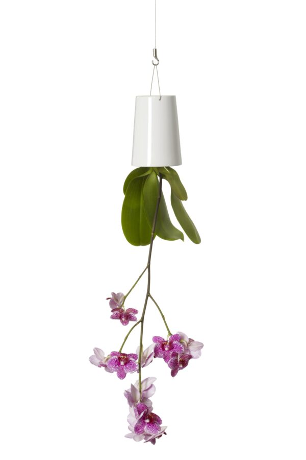 Bosske Sky Planter Ceramic - Small White - immagine 2