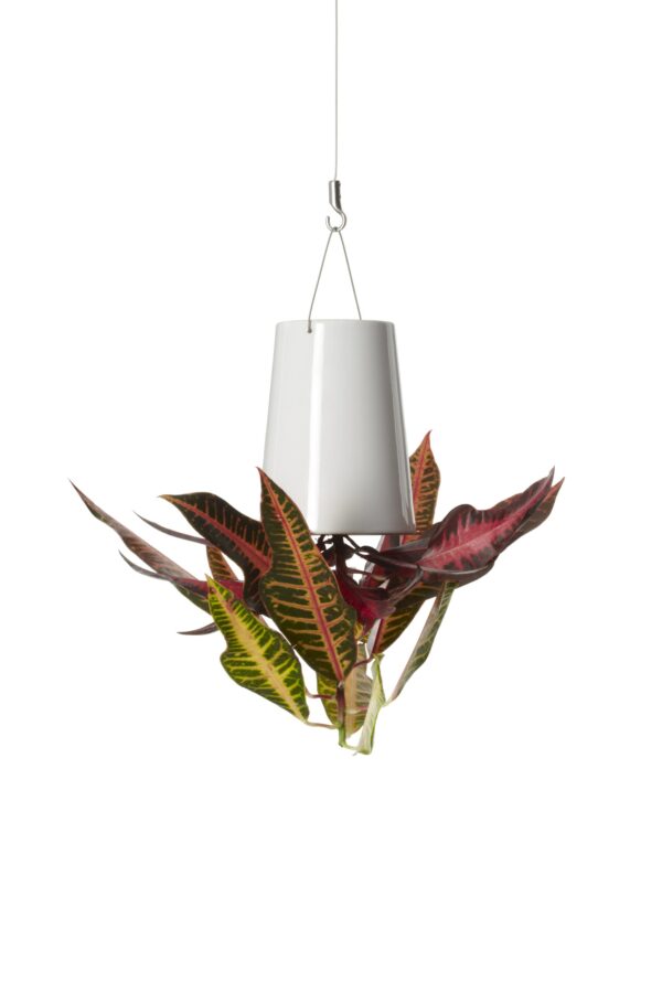 Bosske Sky Planter Ceramic - Medium White - immagine 4