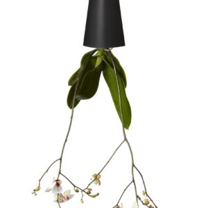 Bosske Sky Planter Recycled - Large Black