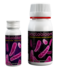 BACTOBLOOM