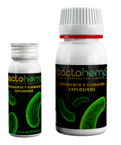 BACTOHEMP