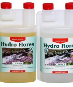 Canna Hydro Flores