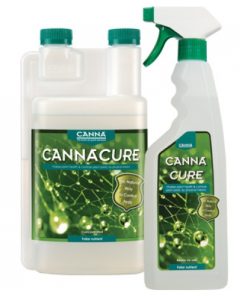 Canna CANNACURE