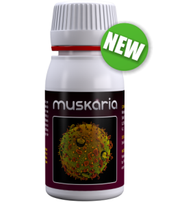 MUSKARIA