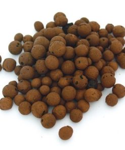 Plagron EURO PEBBLES