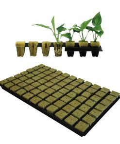 Vassoio per Germinazione