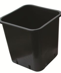 Vaso QUADRO