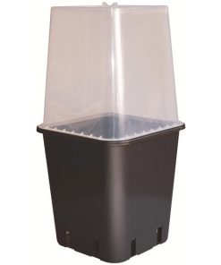 Serra Trasparente