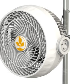 Secret Jardin Monkey Fan MF016