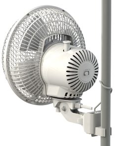 Secret Jardin Monkey Fan MF016