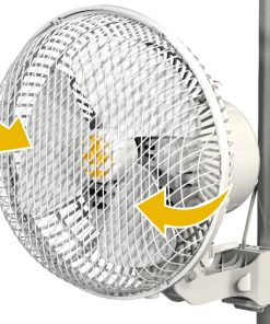 Secret Jardin Monkey Fan MF016