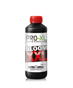 bloom-xx