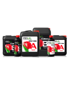 Pro-XL BLOOM