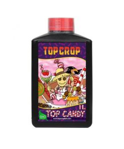 Top Crop TOP CANDY