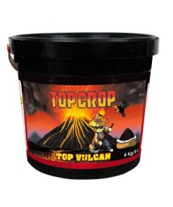 Top Crop TOP VULCAN
