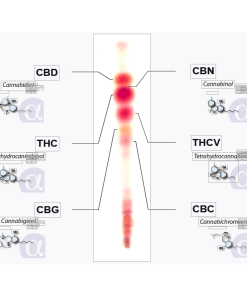 Analisi dei Cannabinoidi