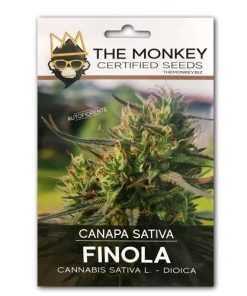Semi di Cannabis Sativa Certificati ENSE