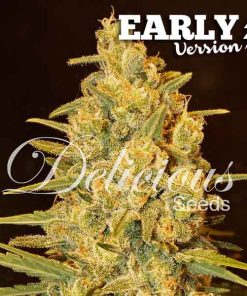Delicious Seeds CRITICAL SENSI STAR EARLY VERSION