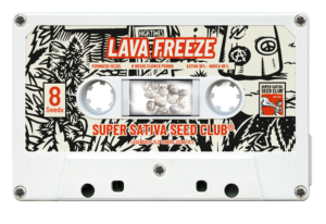 Super Sativa Seed Club LAVA FREEZE