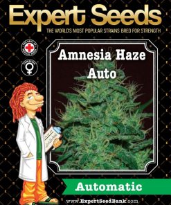 Expert Seeds Amnesia Haze Auto