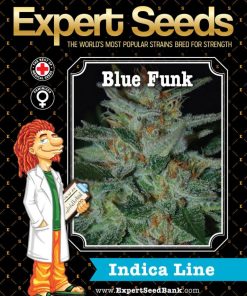 Expert Seeds Blue Cheese