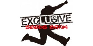 Exclusive Seeds