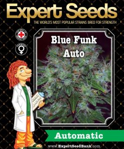 Expert Seeds Blue Cheese Auto