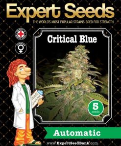 Expert Seeds Critical Blue Auto