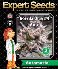Expert Seeds Expert Gorilla Auto