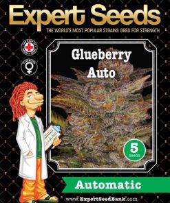 Expert Seeds Glueberry Auto