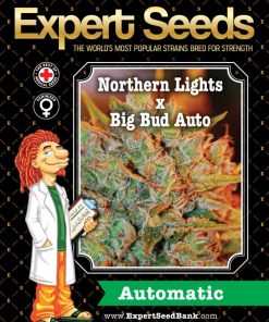 Expert Seeds Northern Lights x Big Bud Auto