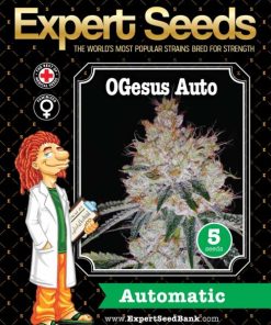 Expert Seeds OGesus Auto