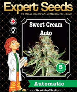 Expert Seeds Sweet Cream Auto