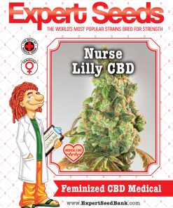 Expert Seeds Nurse Lilly CBD