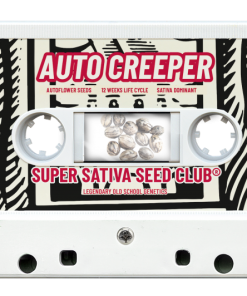 Super Sativa Seed Club AUTO CREEPER