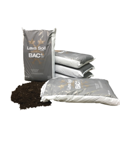 BAC Lava Soil