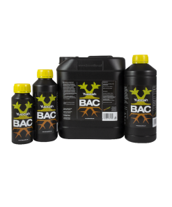 BAC Yuccah
