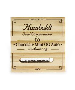 Chocolate Mint OG 2