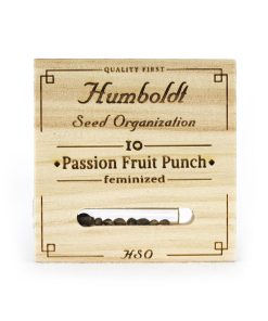 Passion Fruit Punch 2
